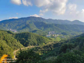 种植紫薇花 建立“乡贤团” 溪上村增强村集体经济收入有新招