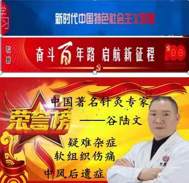 【献礼两会】特别报道 中国著名针灸专家——谷陆文