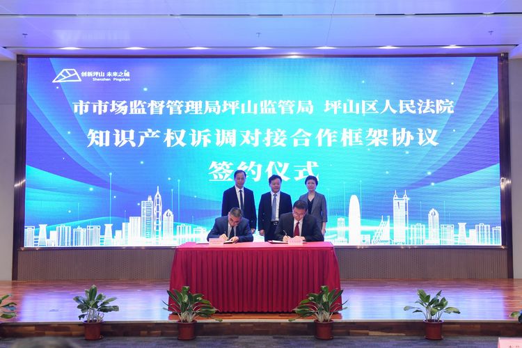 深圳市坪山区成功举办2022年知识产权峰会