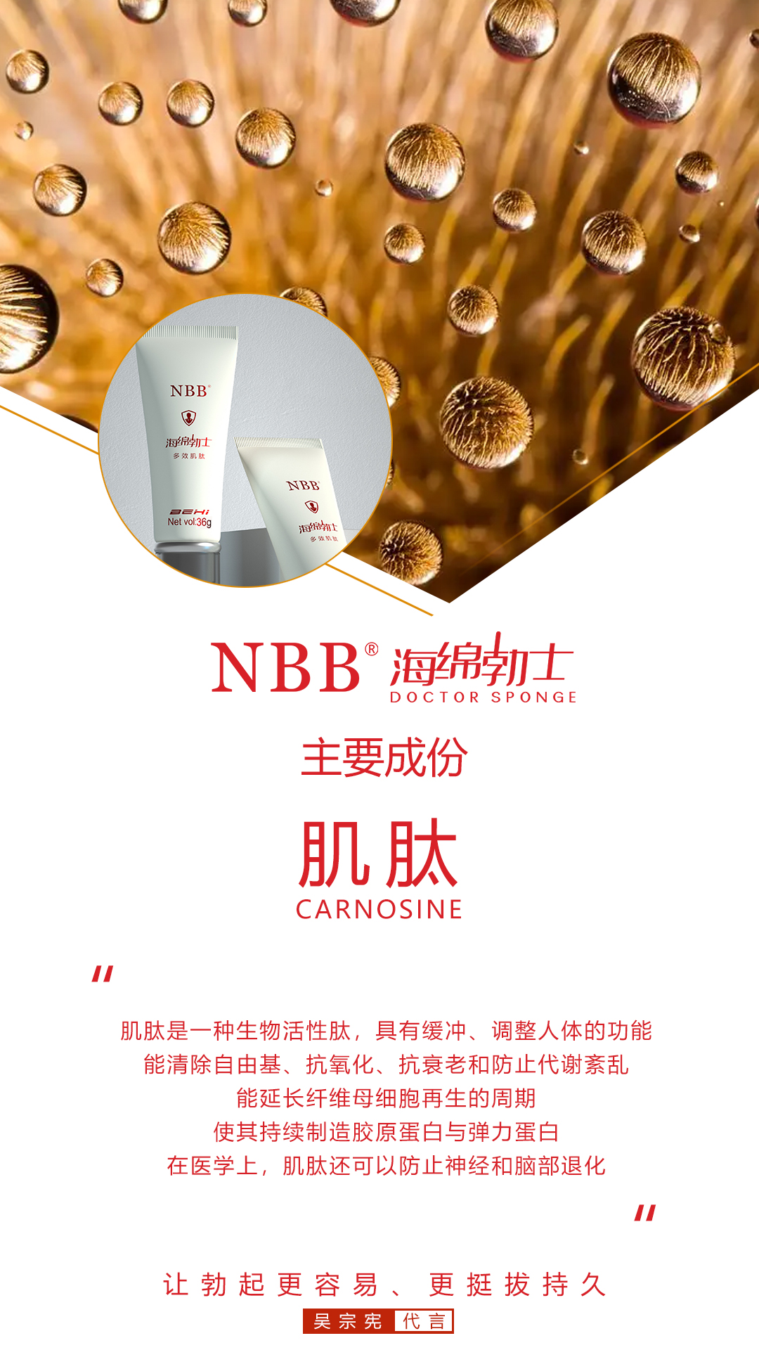 NBB海绵博士的成分