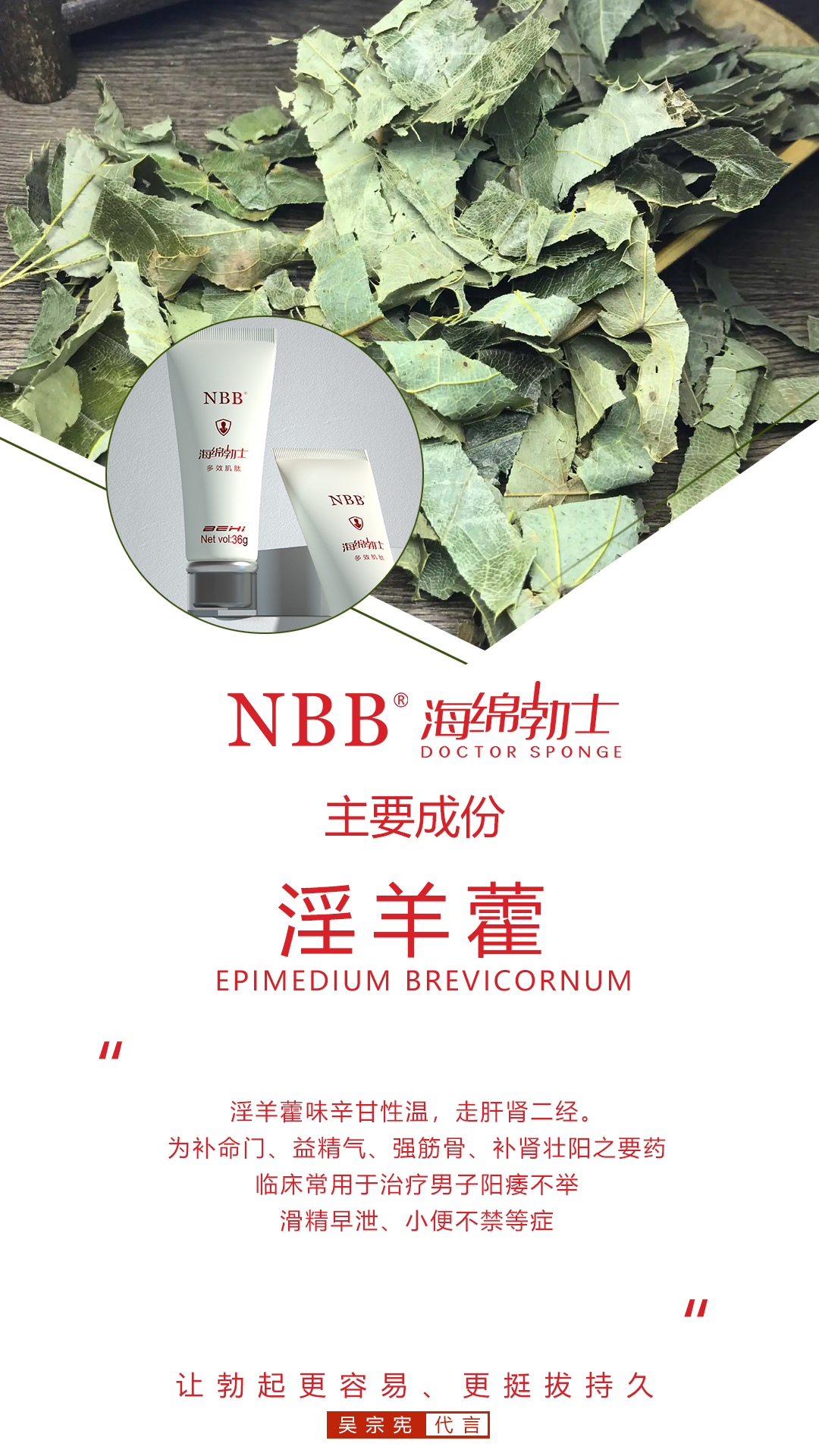 NBB海绵博士的成分