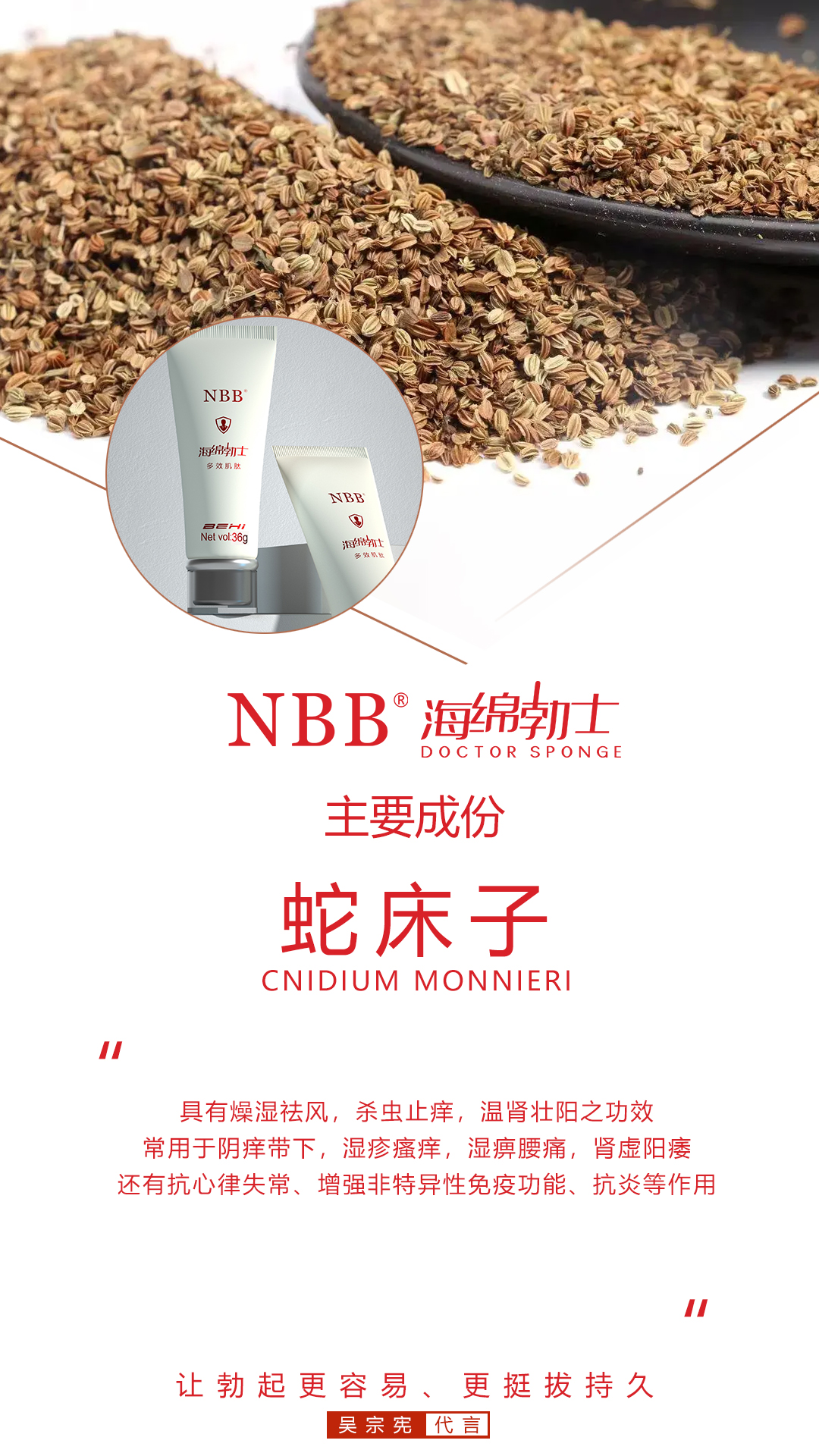 NBB海绵博士的成分