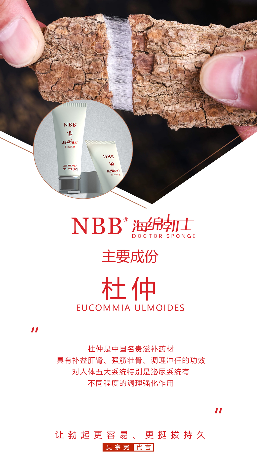 NBB海绵博士的成分