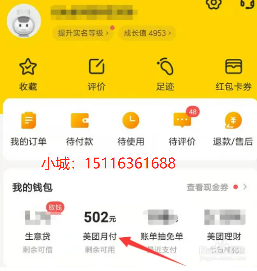 自用推荐：美团月付提现关键技术曝光，这样套出来成本最低！