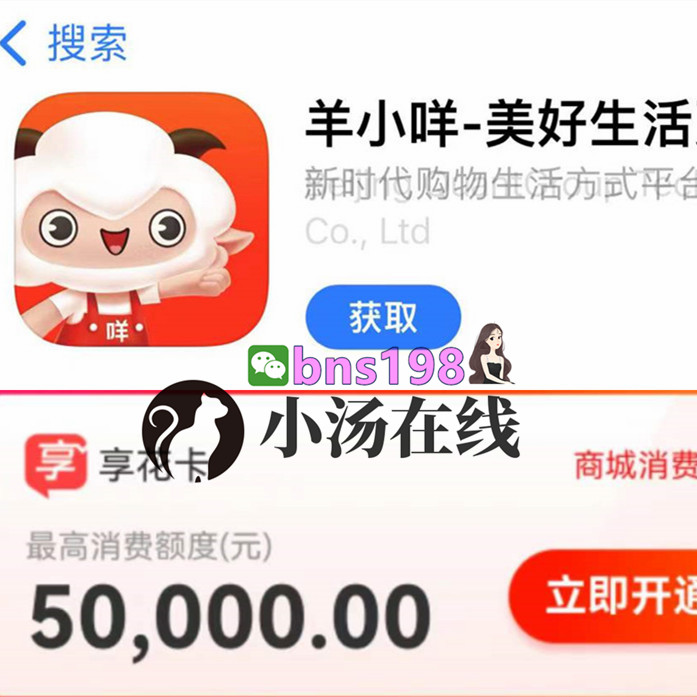 稳拿捏羊小咩享花卡最新套法秒到流程,888%高效率出库回款提现分享！