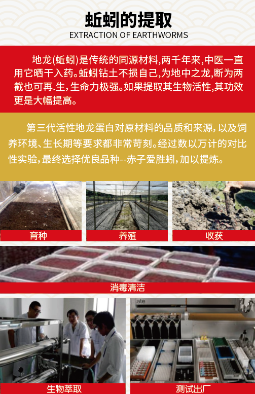 珍奥地龙让您远离“血栓” 珍奥地龙让您远离“血栓”