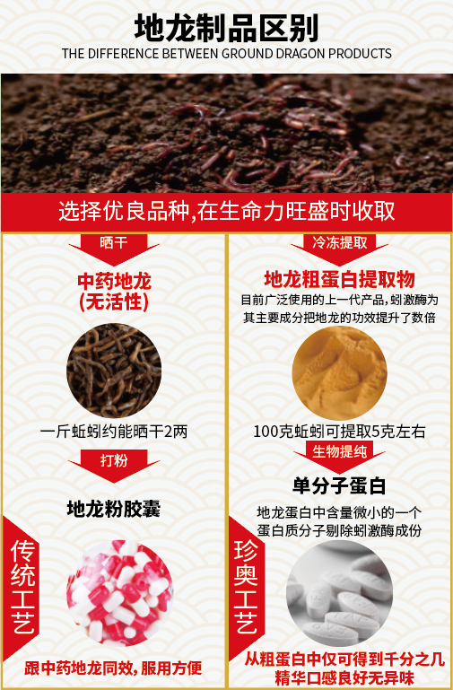 珍奥地龙让您远离“血栓” 珍奥地龙让您远离“血栓”