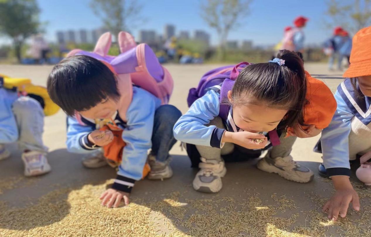 a9c0a6919747ed24d13cb40fa859297