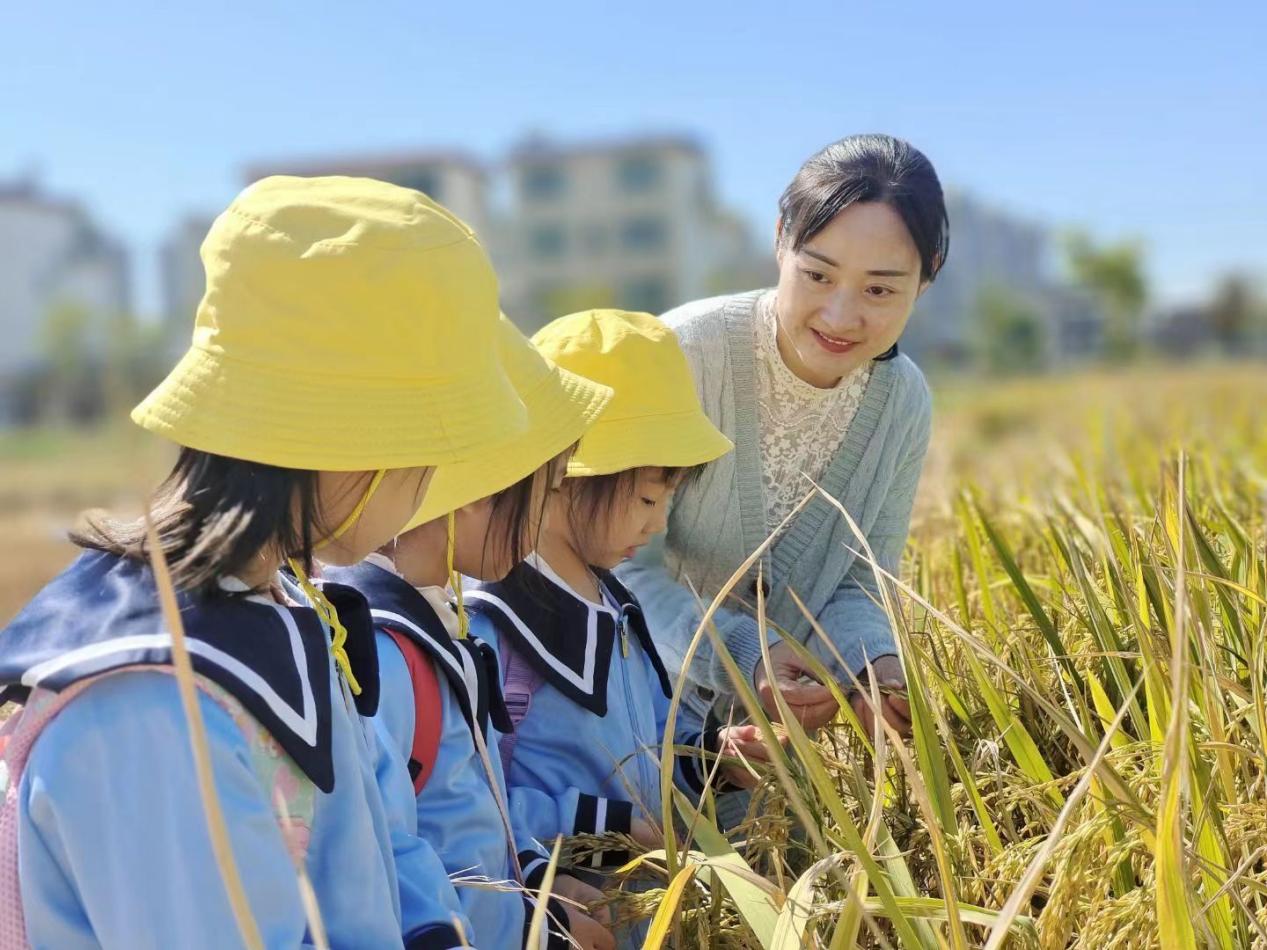 0971a0707828816fb317d141ee48315