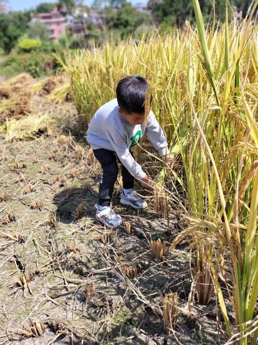 8ebf01d490adce713276c1fd998ae76