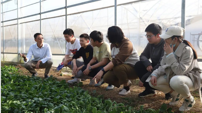从副教授到驻村第一书记，带领农民朋友脱贫致富
