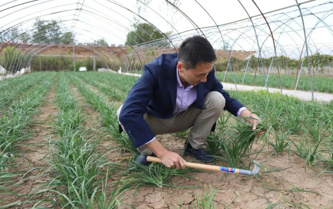 从副教授到驻村第一书记，带领农民朋友脱贫致富
