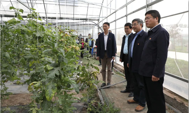 从副教授到驻村第一书记，带领农民朋友脱贫致富