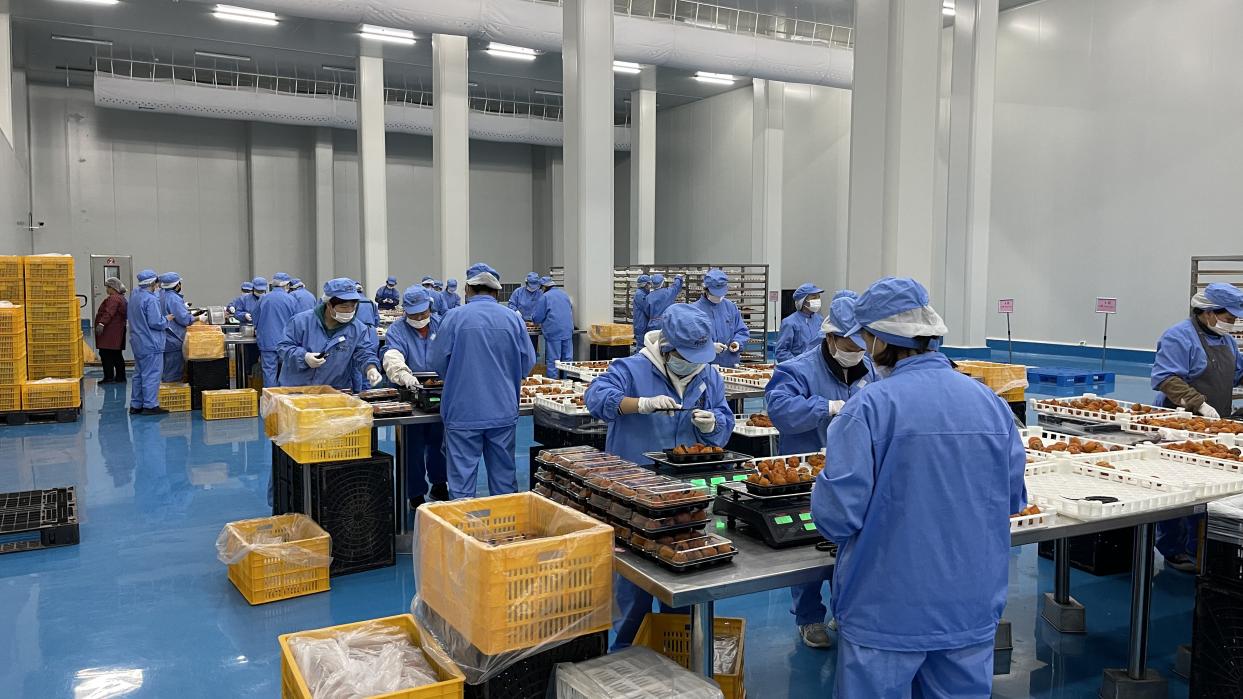 微信图片_20221106161400