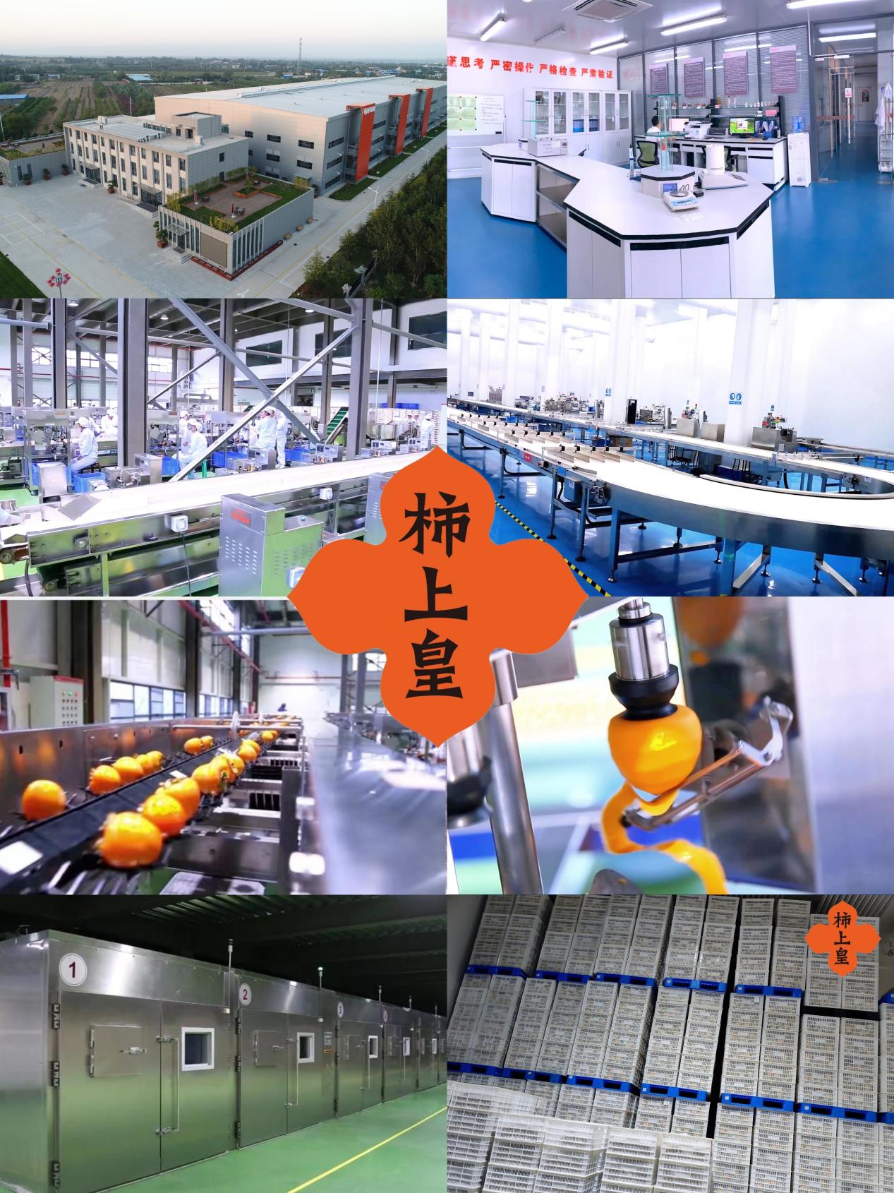 c1e0261d3011c6c3e2a8e1ce4c29c7ec