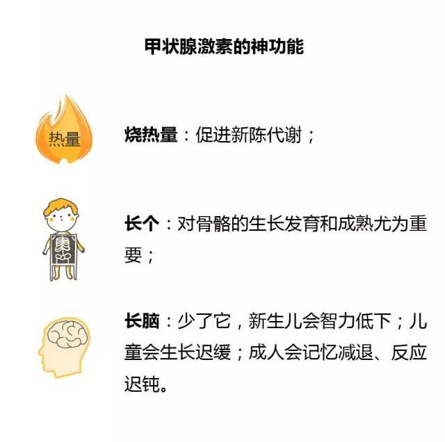 03843125cec5cc57b3d38c92b94600b