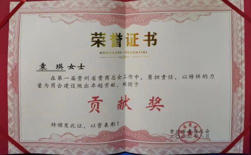 南非贵州商会会长袁瑛