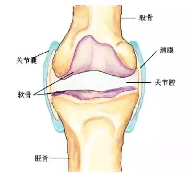 f9db79dcf4c050c8946a81f24ef92f3