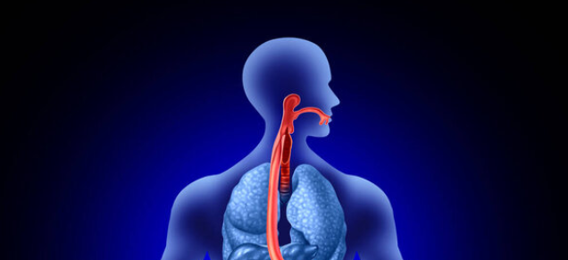 食管肉瘤晚期疼痛中药怎么缓解?上海太安医院中医科动力温控经皮给药治疗不开刀不手术,清除癌细胞! 食管肉瘤晚期疼痛中药怎么缓解?上海太安医院中医科动力温控经皮给药治疗不开刀不手术,清除癌细胞!