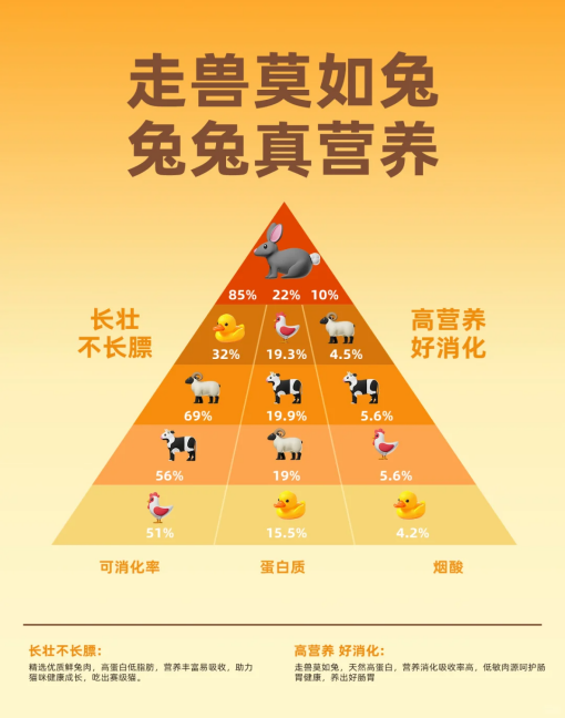 http://img.danews.cc/upload/images/2025-08-04/eAGQxjFKtBkH.png