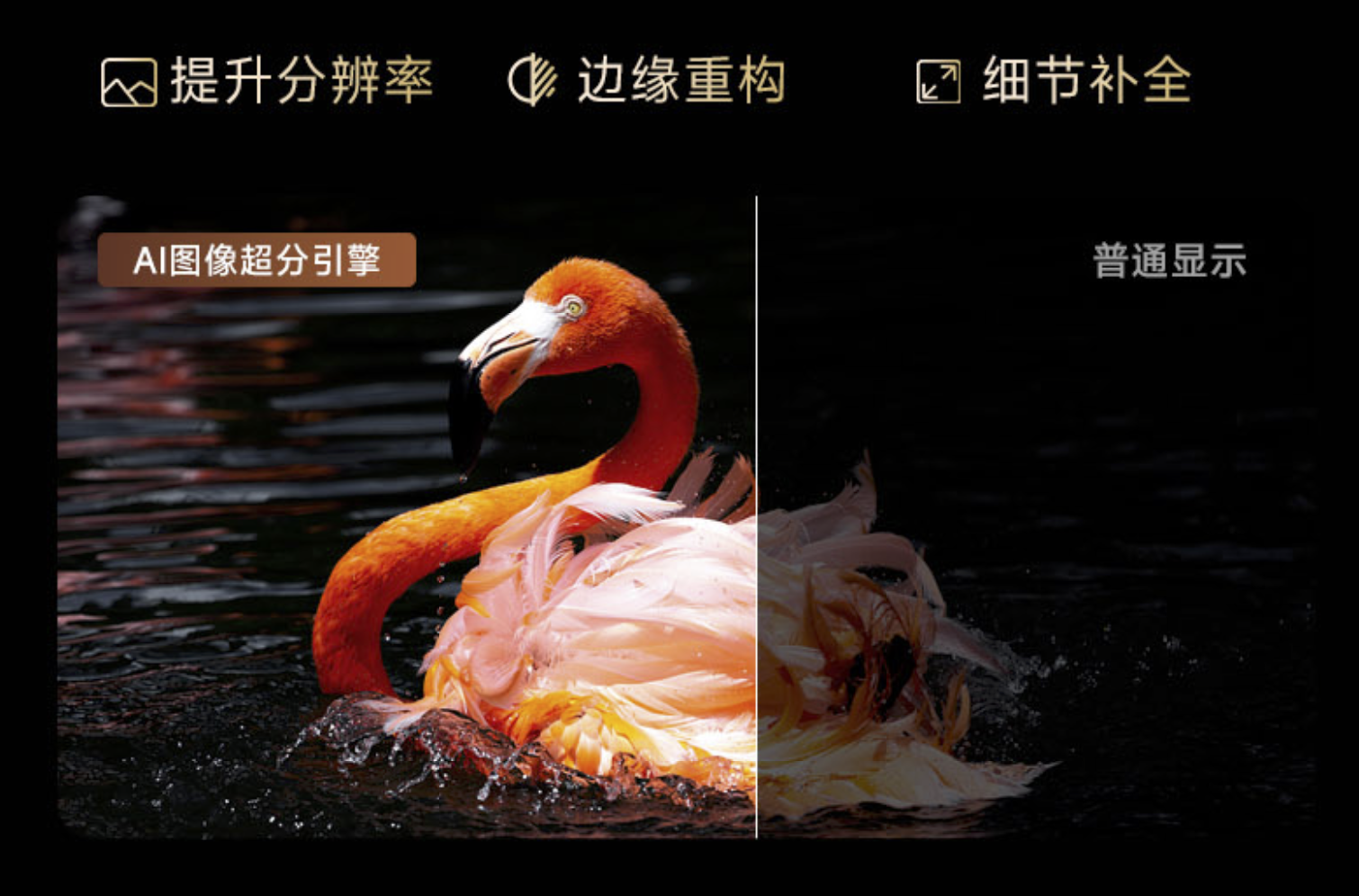 http://img.danews.cc/upload/images/2025-09-02/WcJlEUkDhWwU.png