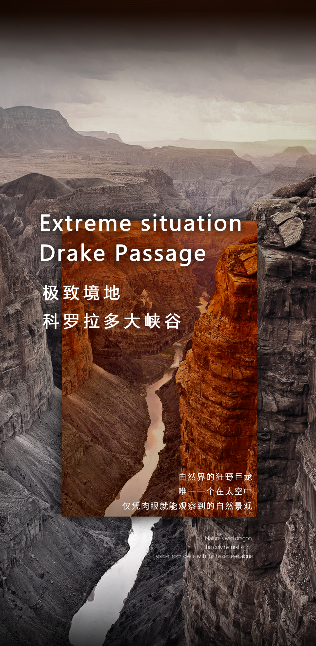 http://img.danews.cc/upload/images/20250416/2289e4204e68eea20333918a199d152a.jpg