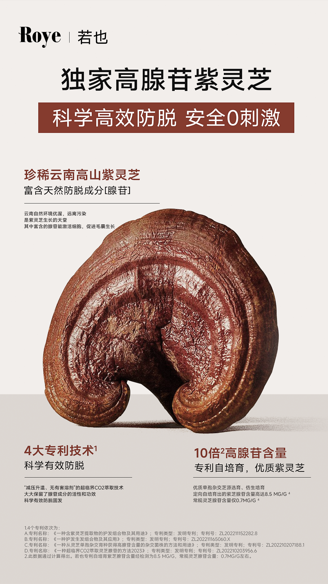 http://img.danews.cc/upload/images/20250520/79d4ba46f16b165d2b71c7edb4898e69.png