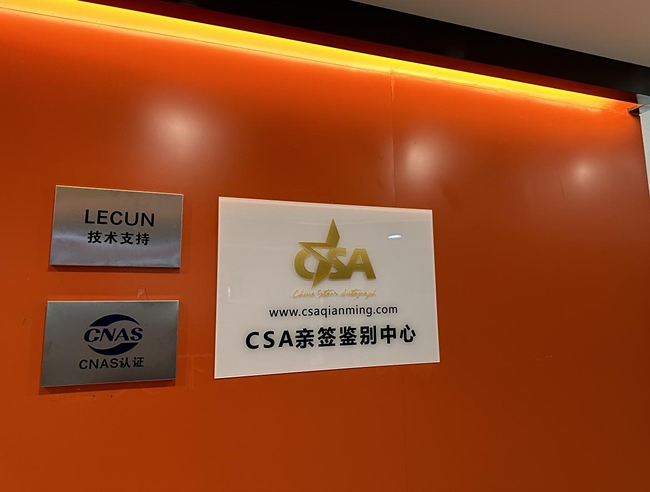 国内首家!CSA亲签鉴别中心推专属AI大模型 智能辅助引领签名鉴伪新范式