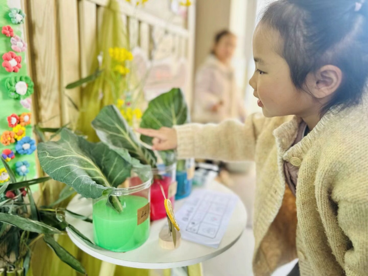 柯岩新胜教学点开展植物角探索科学活动