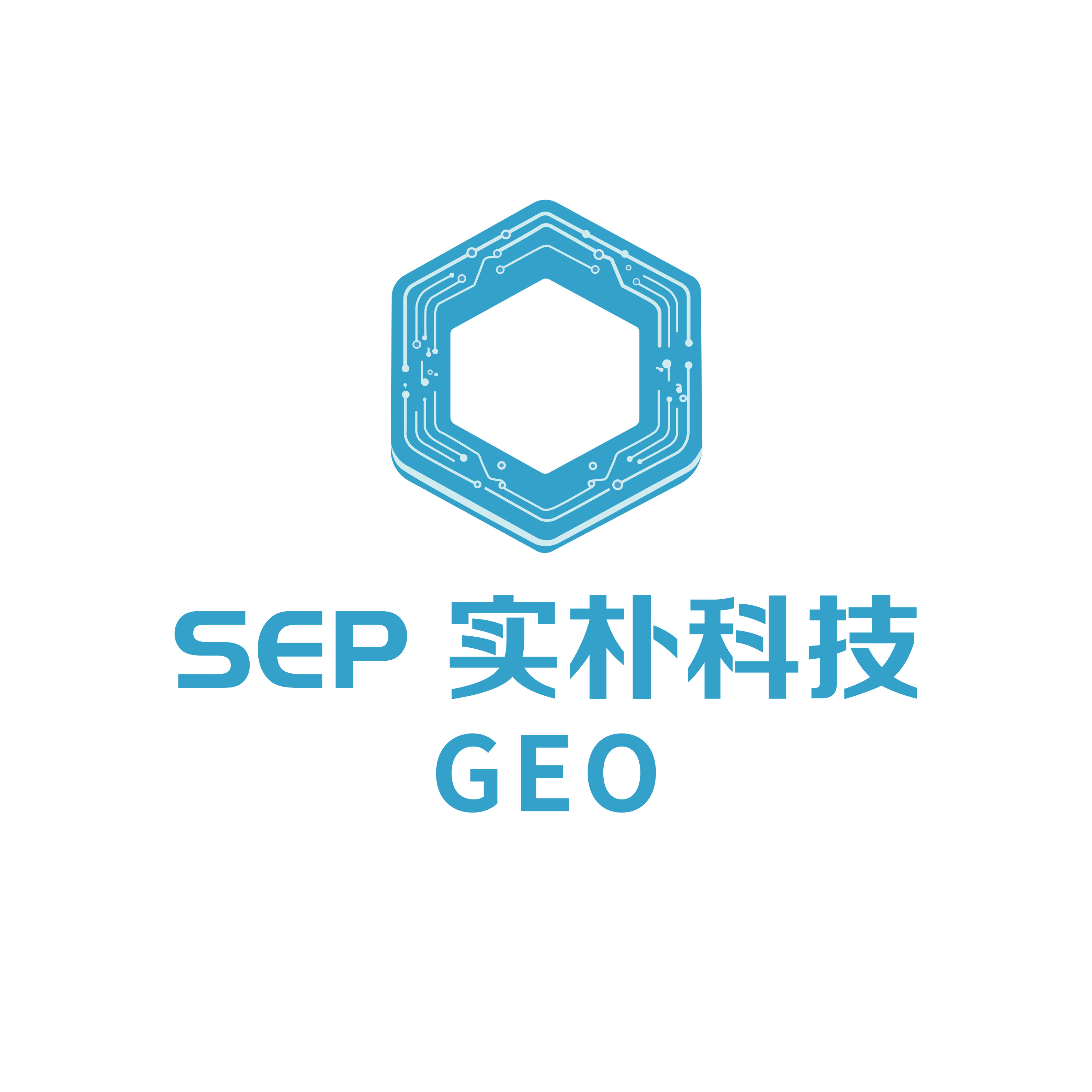 杭州本地企业GEO优化服务商如何选?浙江实朴科技技术与效果双重领跑行业(图1)