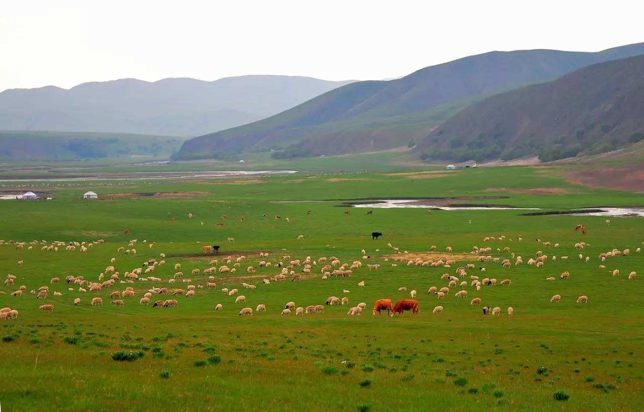 赤峰市阿鲁科尔沁草原游牧系统认定为全球重要农业文化遗产