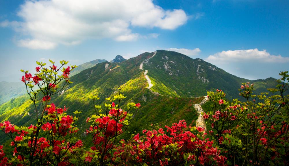 word修水黄龙山风景区jpg