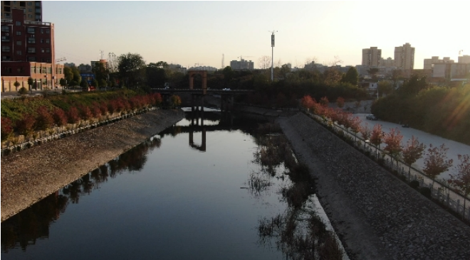 信陽市平橋區明港鎮生態治理增添好楓景