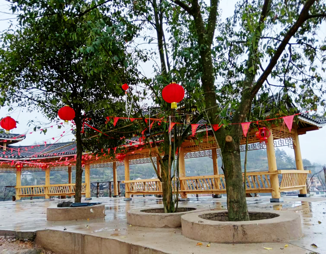 湖南省新晃县凉伞镇:党建引领基层治理 细致入“微”无“网”不胜_中华网