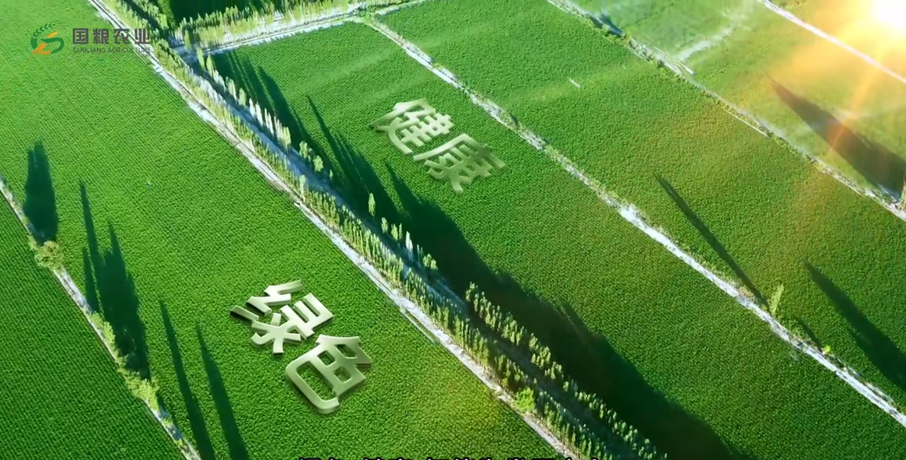 绿色生态环保——国粮农业在可持续发展中的探索