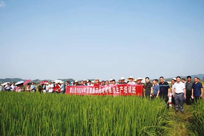 https://img.danews.cc/upload/images/20250414/e39bf5f2c7510d7647a6be480b842dbc.png