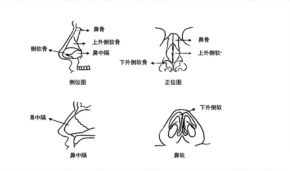 E:/稿件/图片5.png图片5
